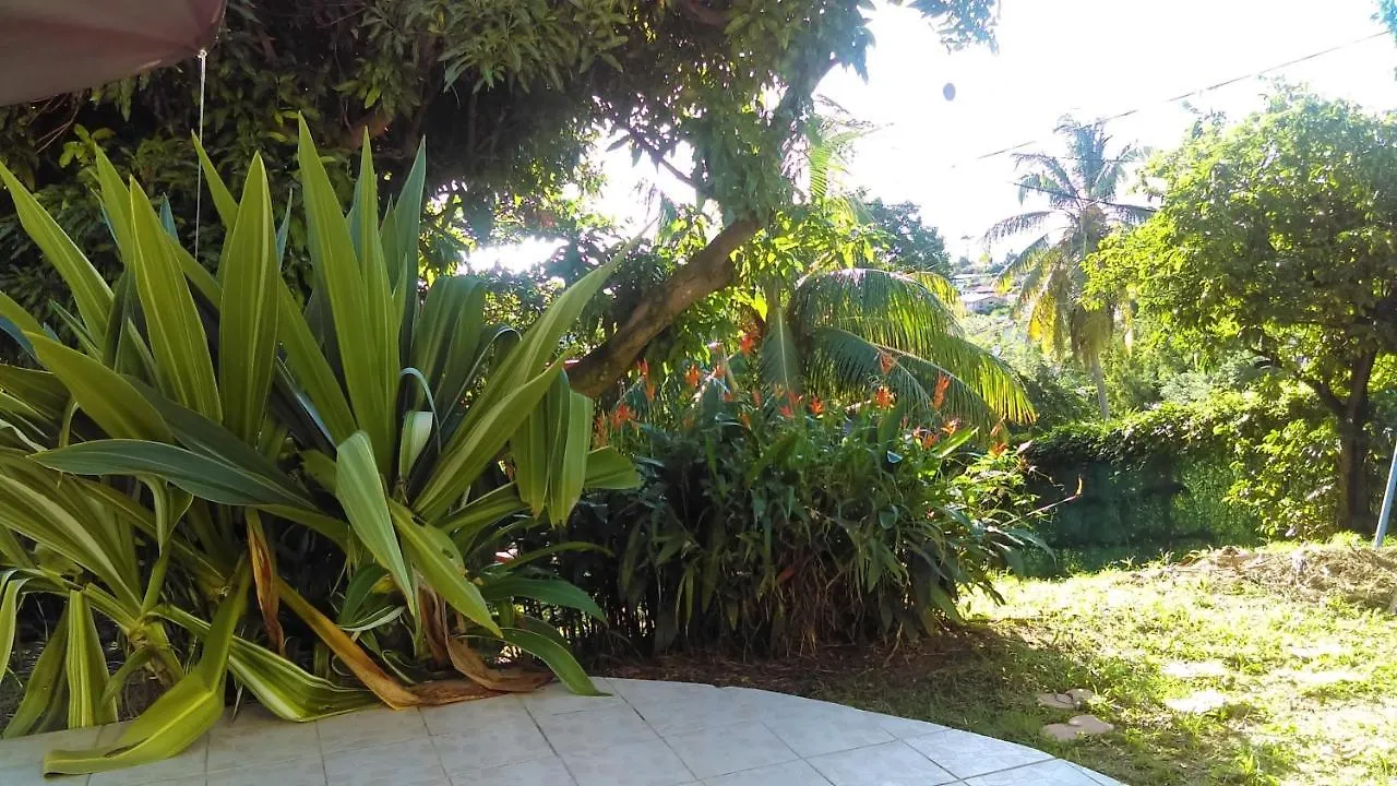 Studio Confortable Avec Vue Sur La Mer A Schoelcher 20 M²