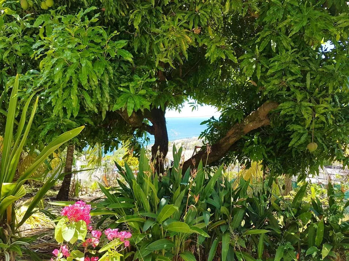 Studio Confortable Avec Vue Sur La Mer A Schoelcher 20 M² Martinica